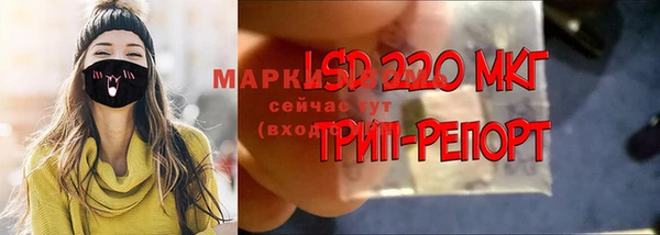 молекула духа Алзамай