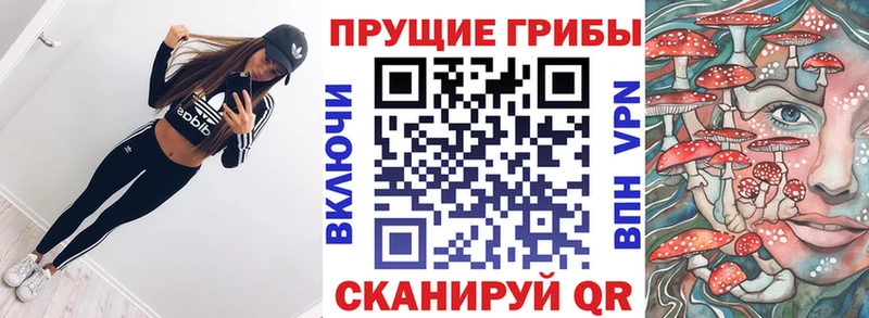 Галлюциногенные грибы мухоморы  продажа наркотиков  Александровское 